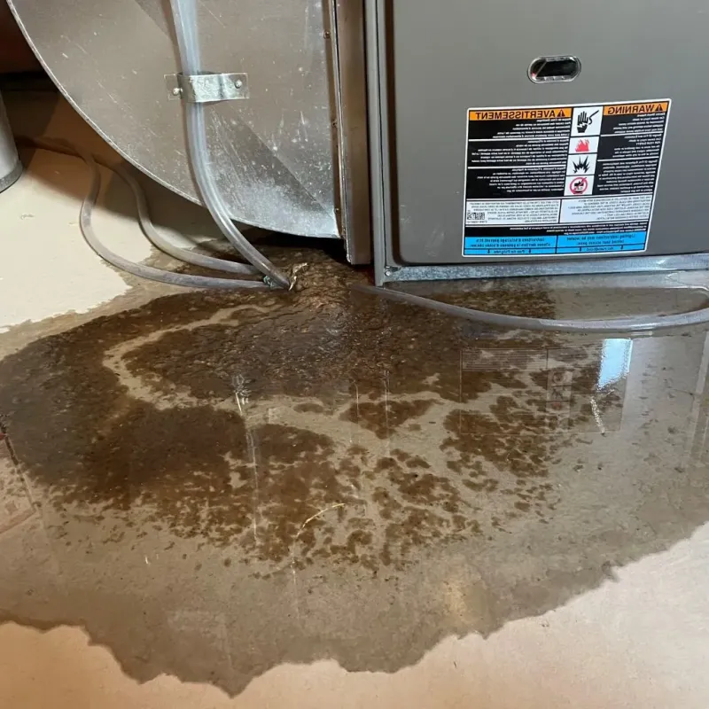Pipe Burst and Leak Restoration in New Castle, NH